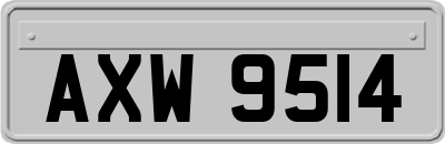 AXW9514