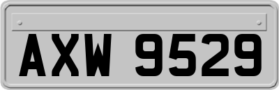 AXW9529
