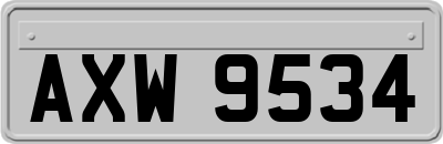AXW9534
