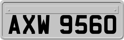 AXW9560