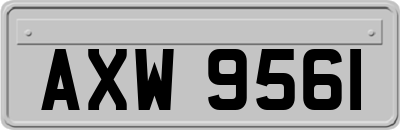 AXW9561