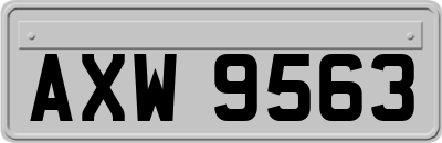 AXW9563