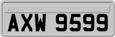 AXW9599