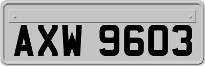 AXW9603