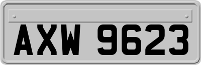 AXW9623
