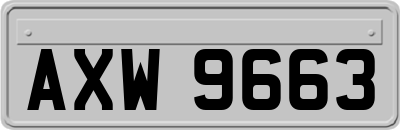 AXW9663
