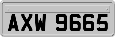 AXW9665