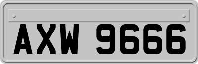 AXW9666