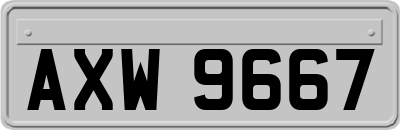 AXW9667