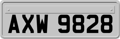 AXW9828
