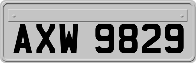 AXW9829