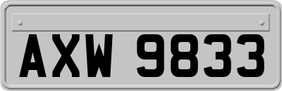 AXW9833