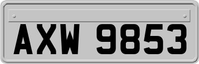 AXW9853