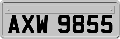AXW9855