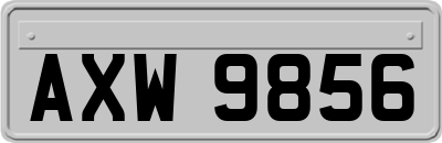 AXW9856