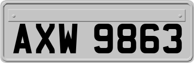 AXW9863