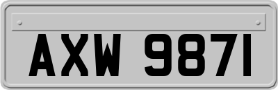 AXW9871