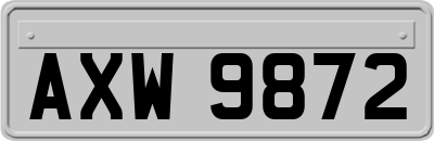 AXW9872