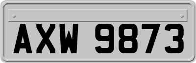 AXW9873
