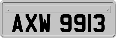 AXW9913