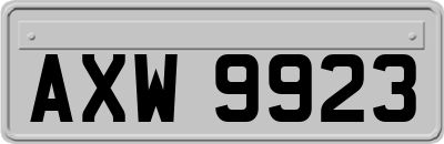 AXW9923