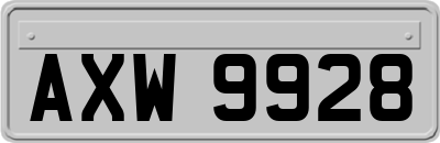 AXW9928