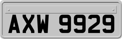 AXW9929