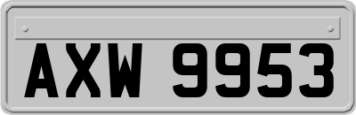 AXW9953