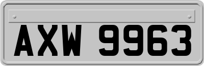 AXW9963