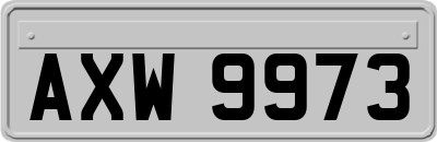 AXW9973