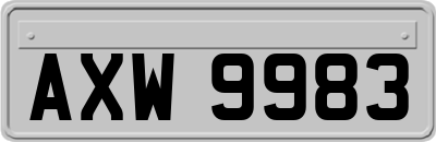 AXW9983
