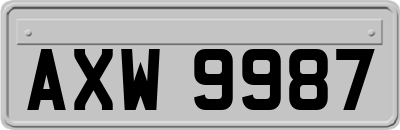 AXW9987