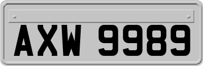 AXW9989