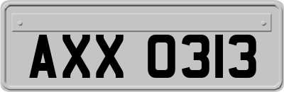 AXX0313