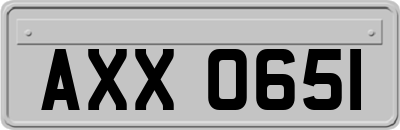 AXX0651