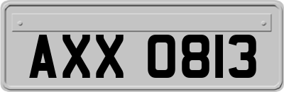 AXX0813