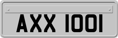 AXX1001