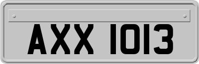 AXX1013