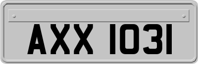 AXX1031
