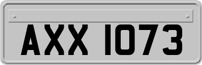 AXX1073