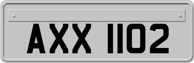 AXX1102