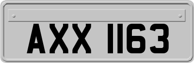 AXX1163