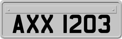 AXX1203