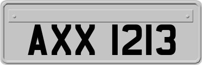 AXX1213
