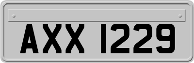 AXX1229