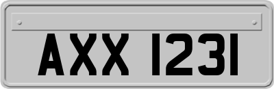 AXX1231