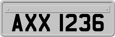 AXX1236