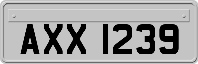 AXX1239