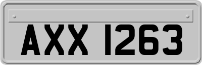 AXX1263