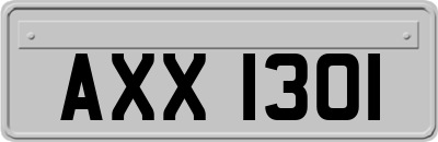 AXX1301